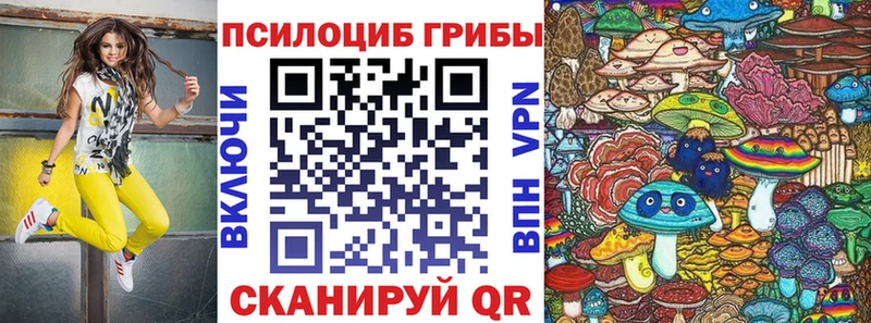 Псилоцибиновые грибы MAGIC MUSHROOMS  Купить закладки  Новошахтинск 